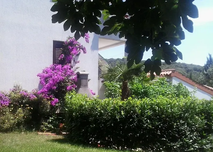 Iva * Pula
